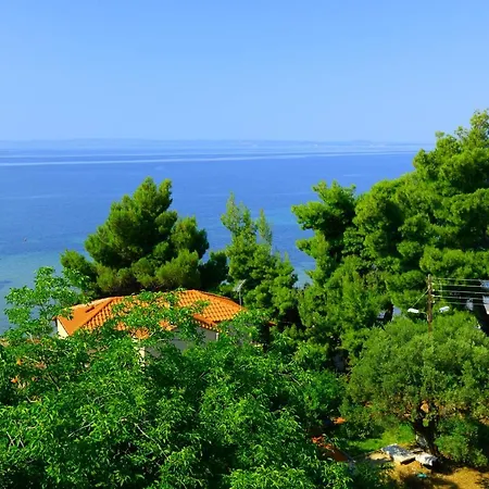 Golden 美塔摩尔弗斯